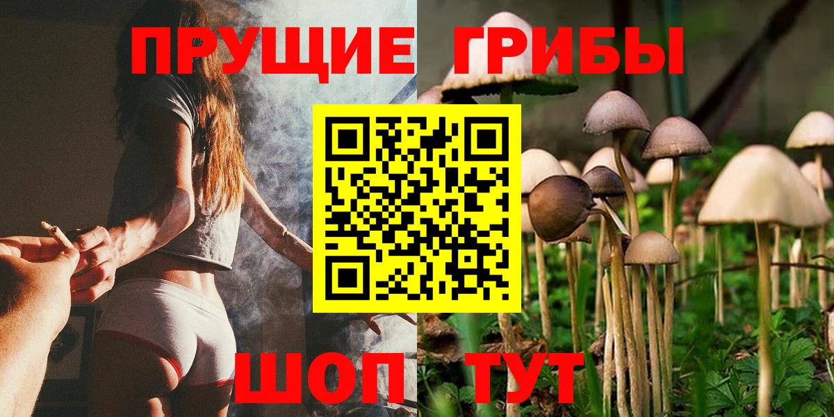 Псилоцибиновые грибы Psilocybe  Псилоцибиновые грибы GOLDEN TEACHER  Вход с VPN  Красноуфимск 